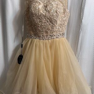 Champagne Wedding/Cocktail Dress